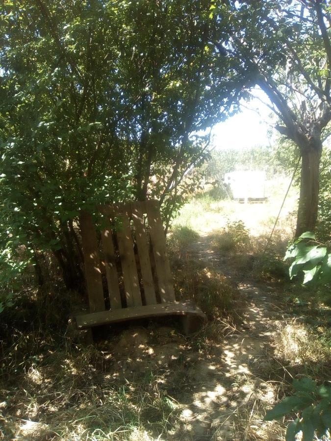 Tentes Bohemes Dans Un Ecolieu Avec Piscine Hors-Sol * Peault